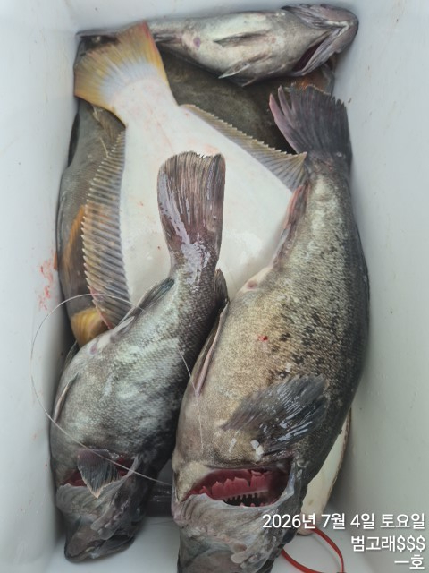 KakaoTalk_20260704_161447923_06.jpg