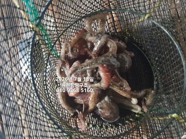 KakaoTalk_20260721_092917966.jpg