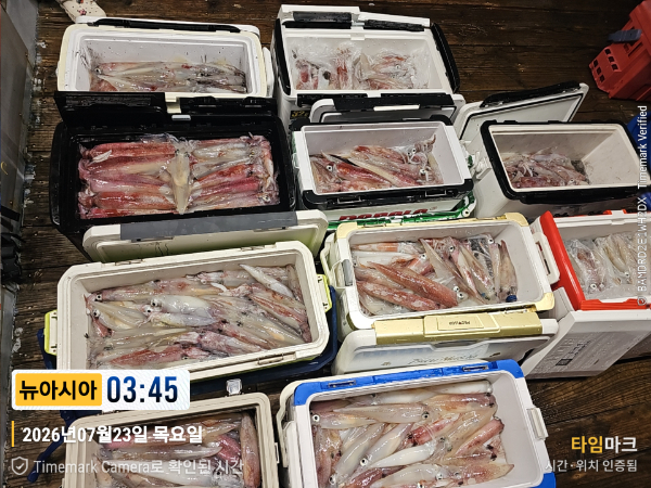 KakaoTalk_20260723_051554602_17.jpg