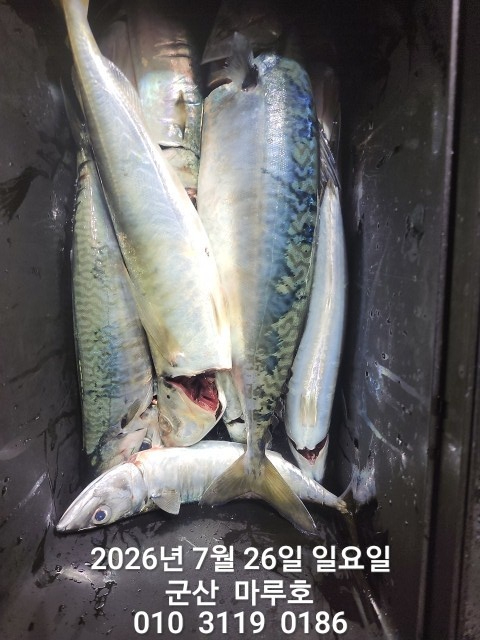 KakaoTalk_20260726_045538189_01.jpg
