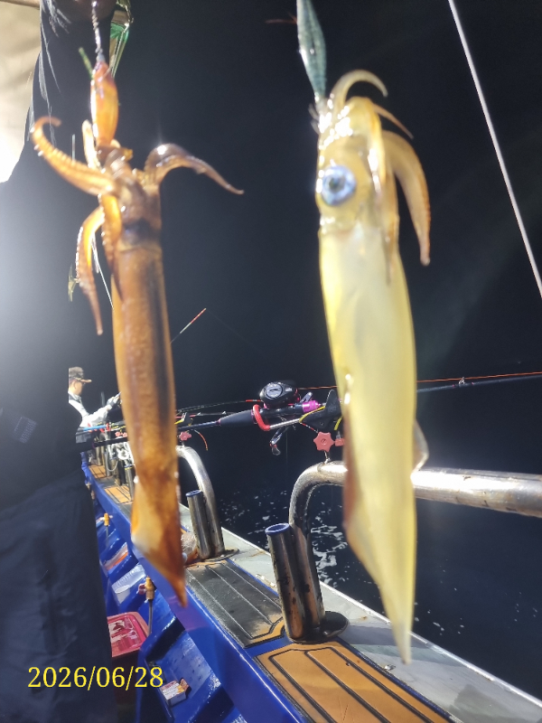 20260628_023643.jpg