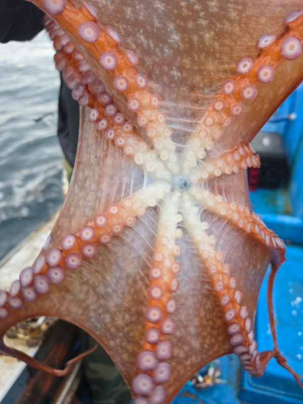 B279B2E7-07CC-485D-A9B0-D524317DE0B1.jpeg