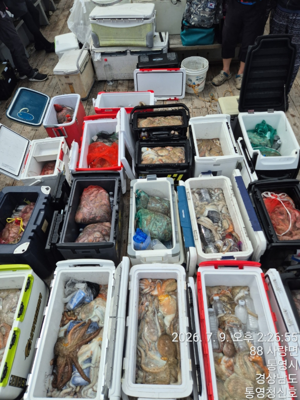 통영청신호입니다_사진_20260709_32.jpg