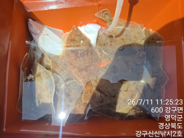신신낚시 강구점 신신호_사진_20260711_9.jpg