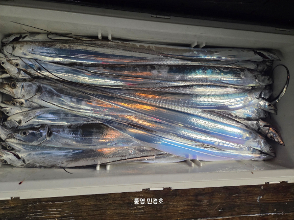 D8B278CD-BF1E-4DB9-99CA-1AA16729097E.jpeg