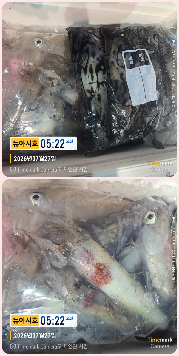 KakaoTalk_20260727_085119965_03-down.jpg