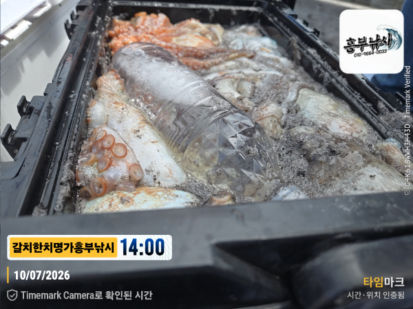 2026-07-10 14.00.17__(제목-갈치한치명가흥부낚시).jpg