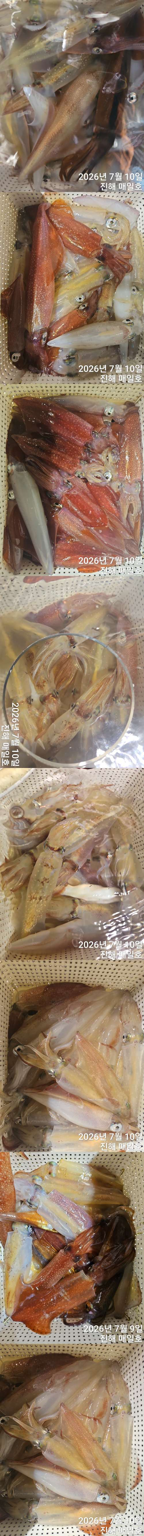 왕한치2.jpg
