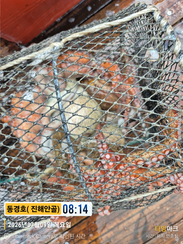 2026-07-09 08.14.11__(제목-동경호( 진해안골)).jpg
