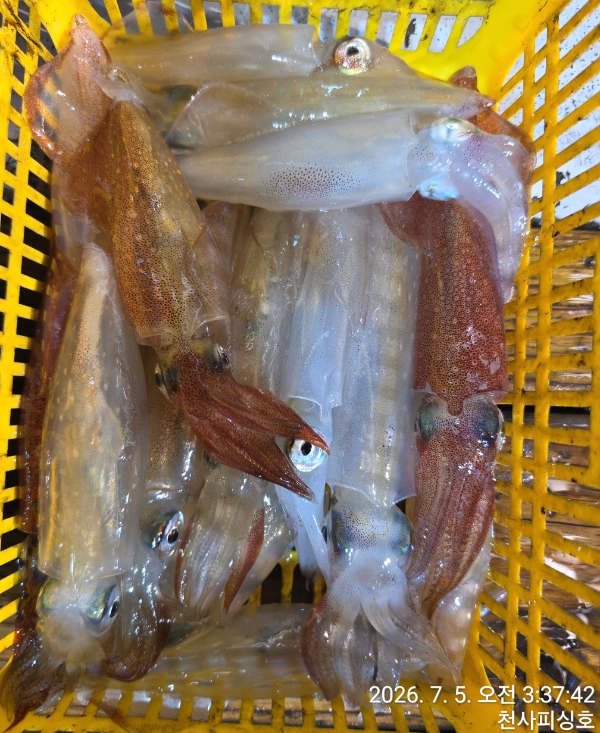 1004피싱_사진_20260705_10.jpg