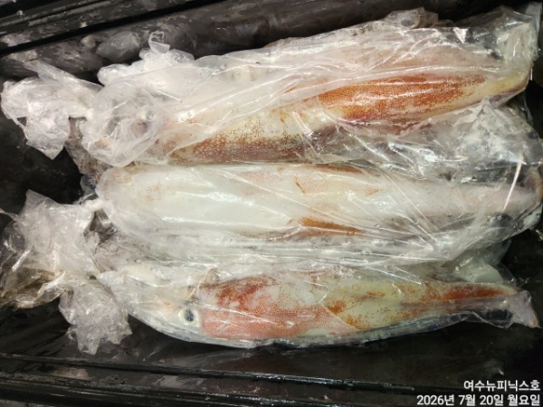 7월20일한치 (31).jpg