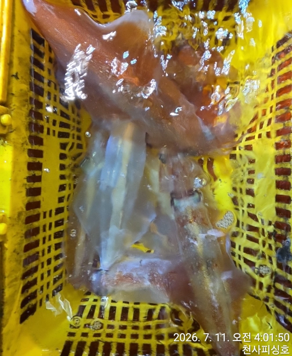 1004피싱_사진_20260711_16.jpg