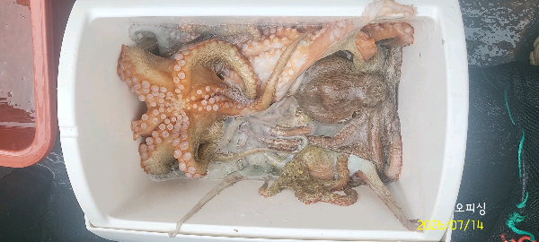 DateCamera0714144858.jpg