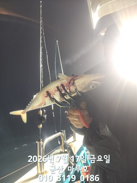 KakaoTalk_20260718_125034589.jpg