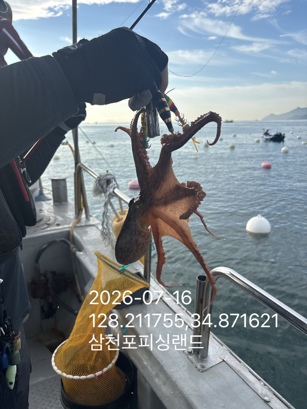 IMG_5674.jpeg