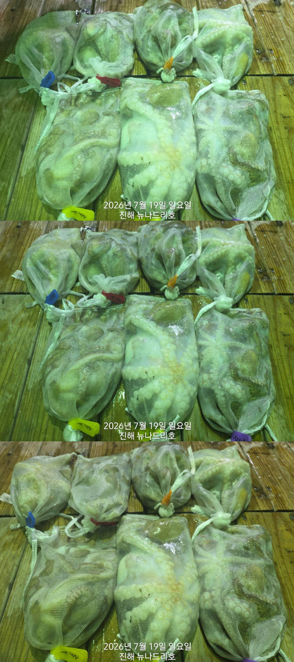 조3.jpg