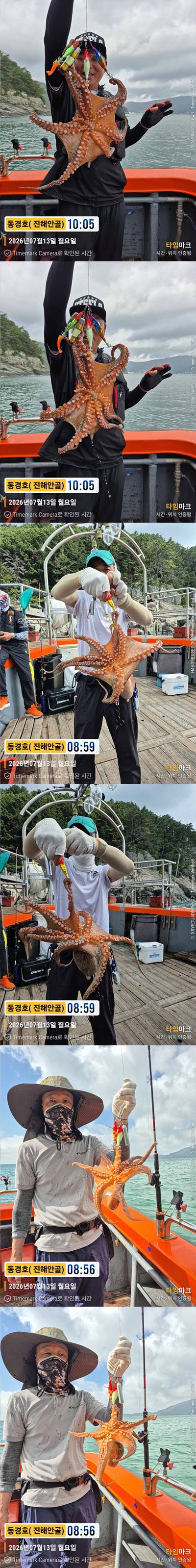 돌문어 26-7-13-3.jpg