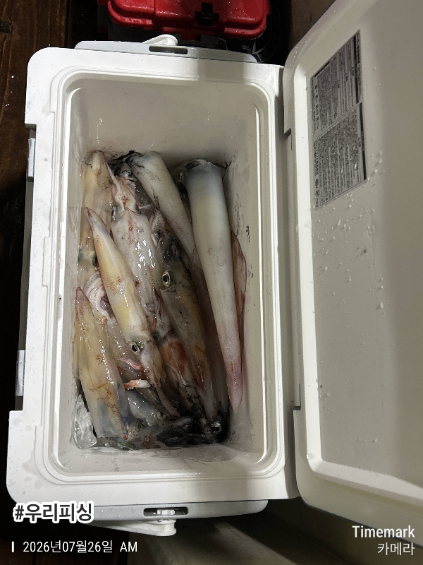 2026-07-26 04.00.31_(#우리피싱).jpeg