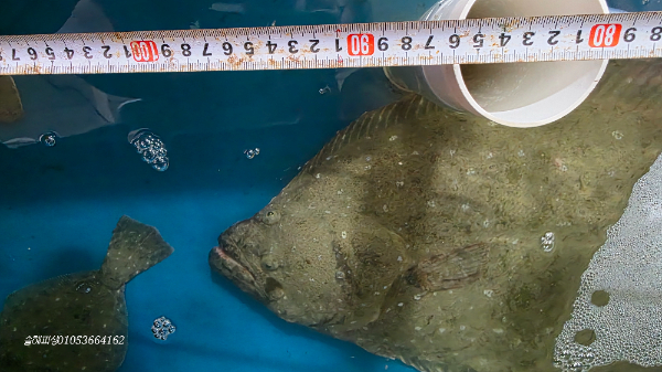 20260730_092806.jpg