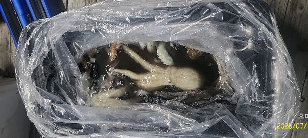 DateCamera0712224439.jpg