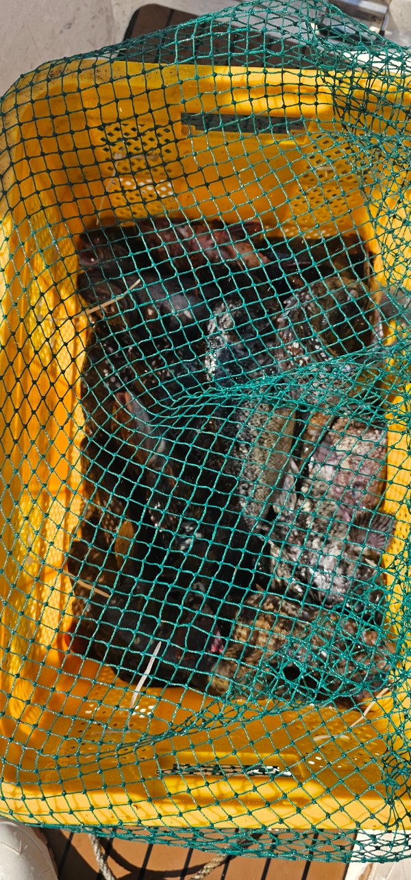 20260724_152116.jpg