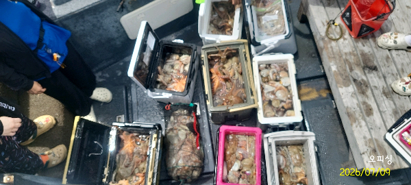 DateCamera0709112731.jpg