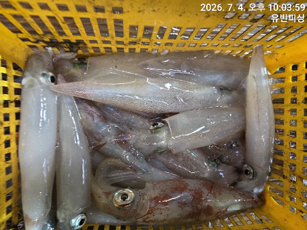 KakaoTalk_20260705_071230614_19.jpg