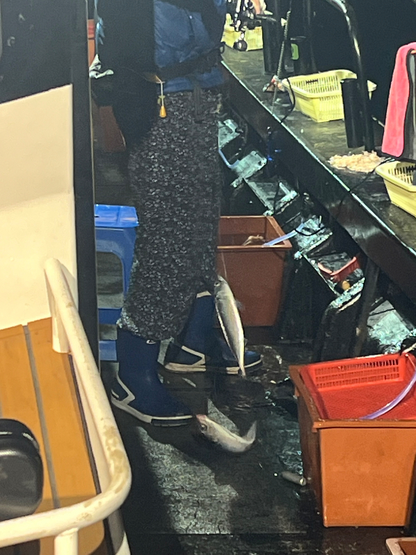 IMG_5516.jpeg