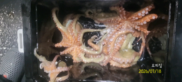 DateCamera0718230556.jpg
