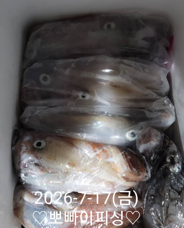 1000101221.jpg