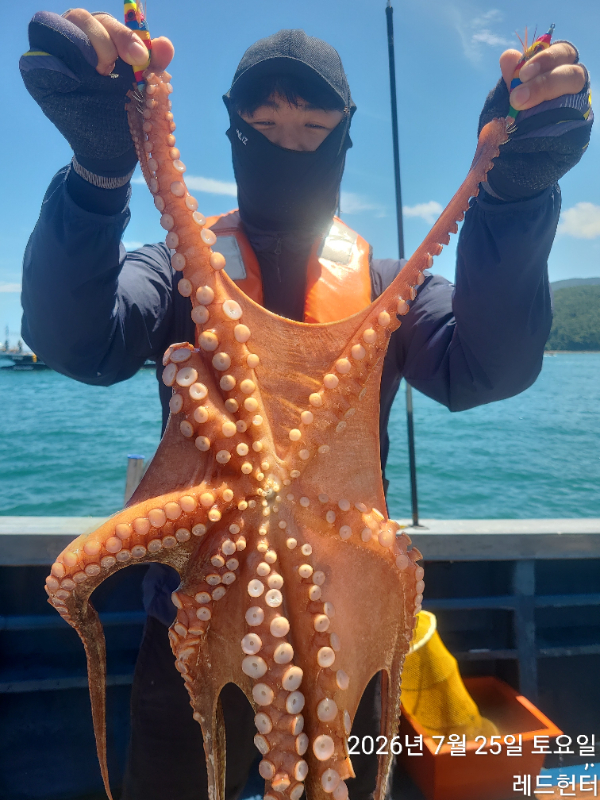 24169.jpg