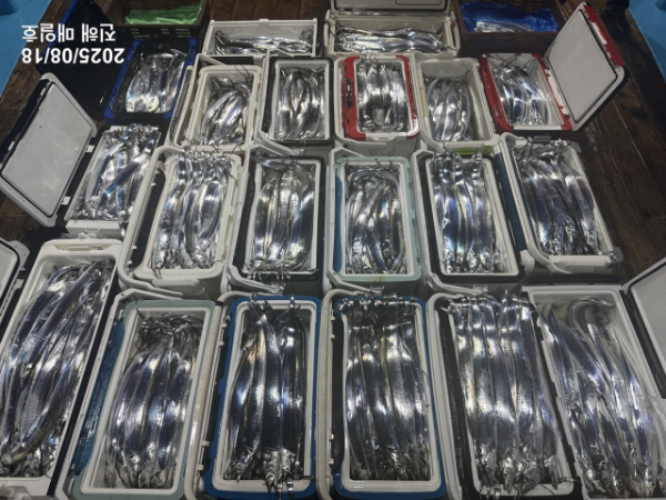 KakaoTalk_20260729_173916633_06.jpg