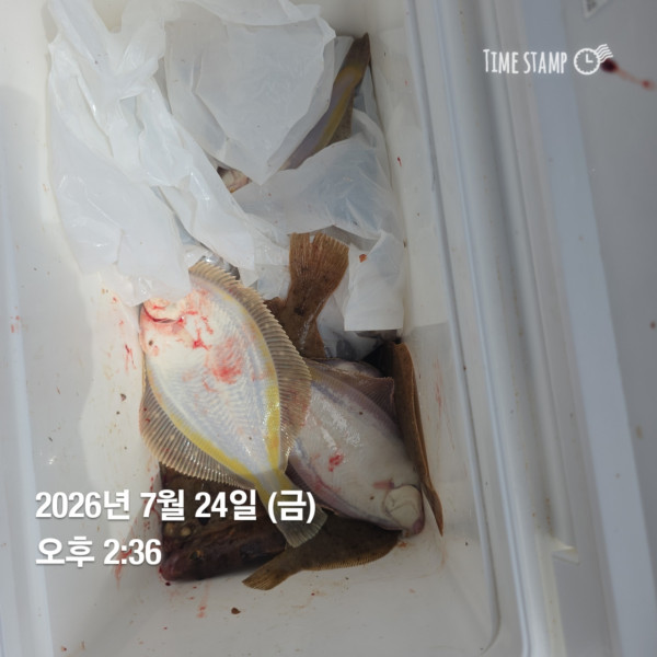 공현진낚시마트(돌핀호)_사진_20260724_7.jpg