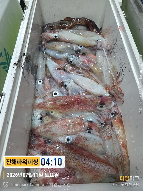 39039.jpg