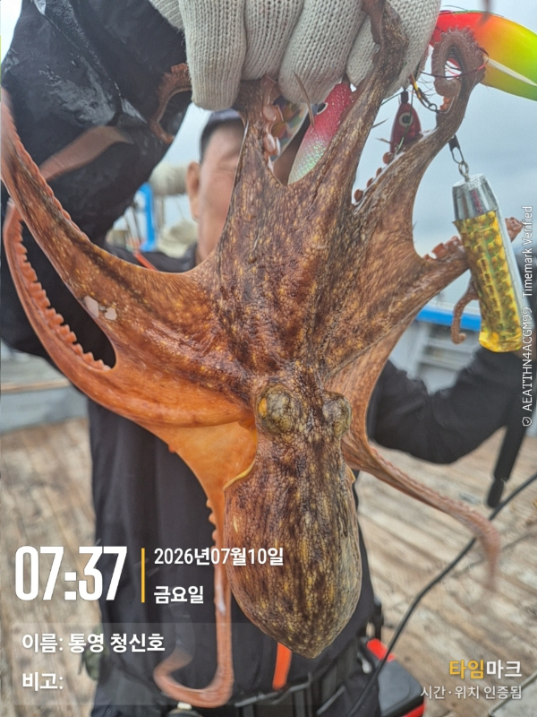 바다의 전설 부평25_사진_20260711_10.jpg