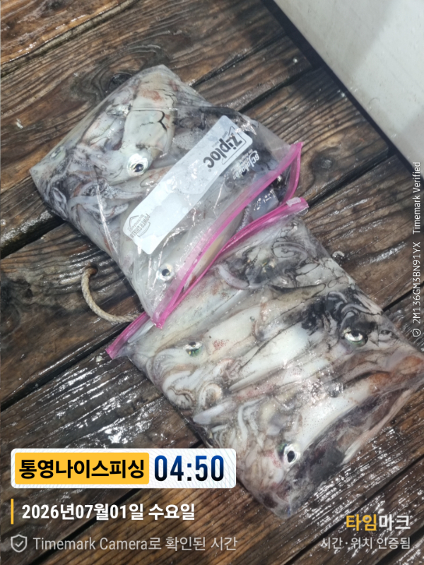2026-07-01 04.50.35__(제목-통영나이스피싱).jpg