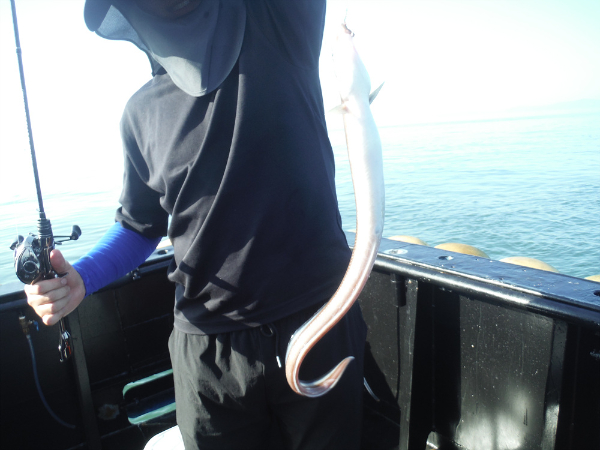 DSCF4482.jpg