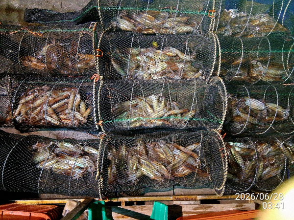 EAB43E38-BCA8-403A-871C-D3C4654B7BEA.jpeg