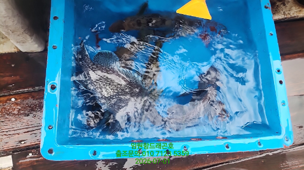 1000107271.jpg