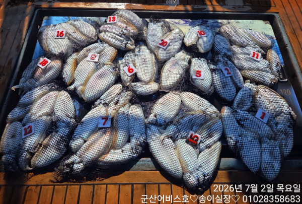 1000026382.jpg