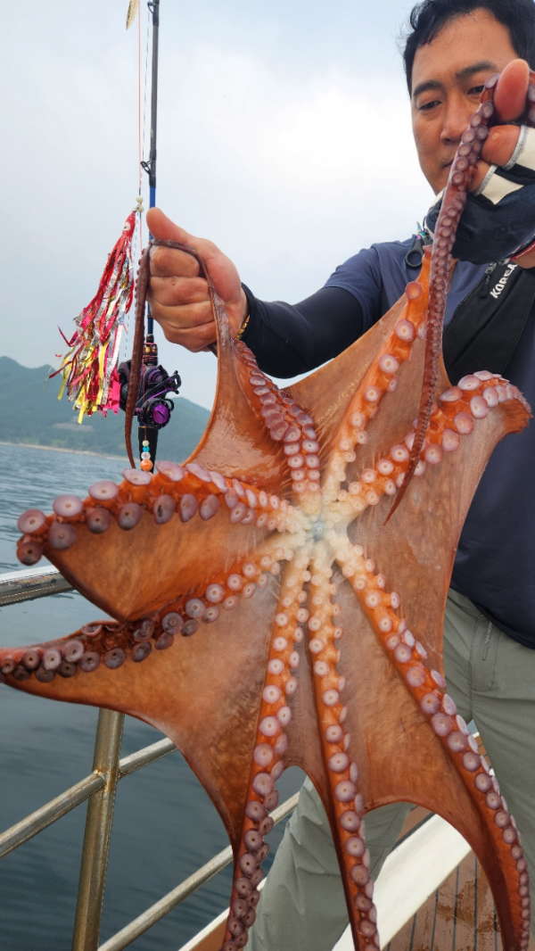 196D8A33-B3CF-45B3-8690-5561F6EA29F5.jpeg