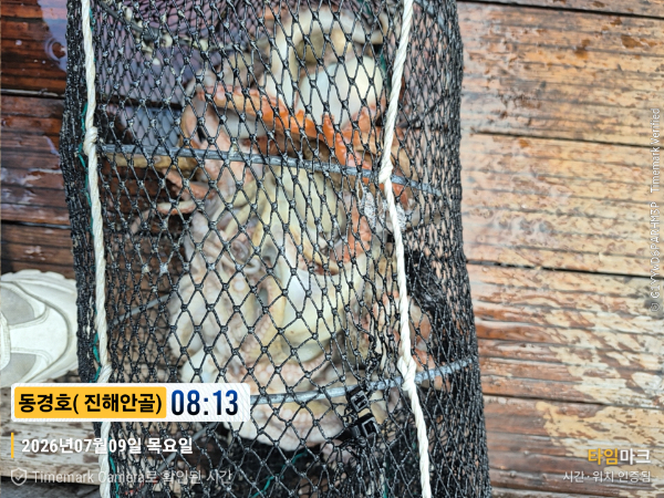 2026-07-09 08.13.38__(제목-동경호( 진해안골)).jpg