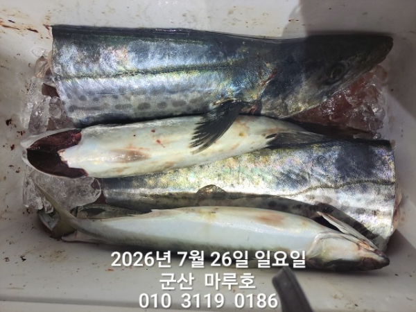 KakaoTalk_20260726_045538189.jpg