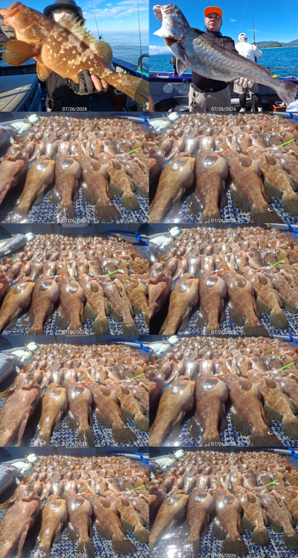 TimePhoto_20260726_064622-tile.jpg