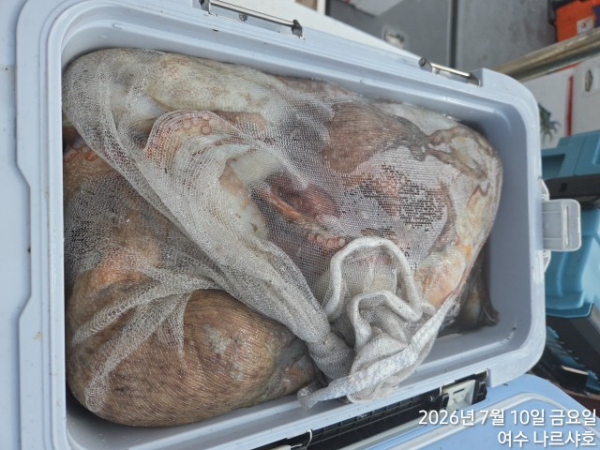 9564.jpg