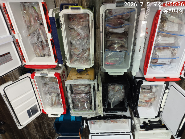 KakaoTalk_20260705_071230614_01.jpg