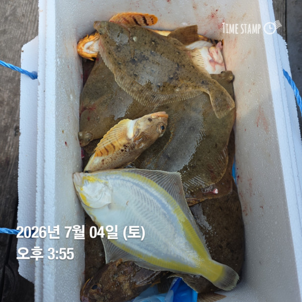 공현진낚시마트(돌핀호)_사진_20260704_12.jpg