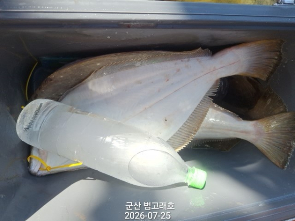 KakaoTalk_20260725_172720399_07.jpg