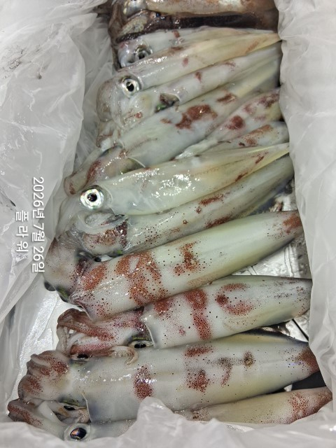 1785024592493.jpg