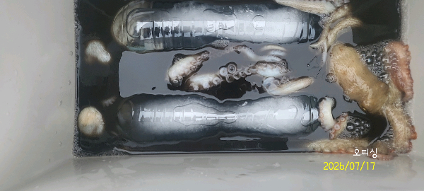 DateCamera0717140214.jpg